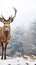 Winter beauty a majestic deer against a snowy white backdrop