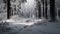 Winter beauty snowy forest, tranquil scene, frost covered trees generated by AI