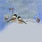 Winter Birds, Black Capped Chickadee, Illustration