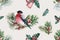 Winter bloom pattern design with bird, taxus baccata watercolor illustration