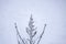 Winter blurre background. Snow. Wintertime oberlay.