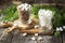 Winter breakfast ingredients. Chocolate oat cereal with marshmallows in portioned glass mugs