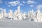 Winter on Brocken Mountain,Harz National Park,Germany