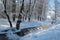 Winter calm frozen landscape with beautiful frosted trees