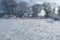 Winter calm frozen landscape with beautiful frosted trees