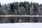 Winter calm landscape on a river with a white swan. Finland, river Kymijoki