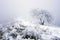 Winter calm mountain landscape