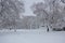 Winter at the Cambridge Common