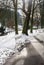 Winter in central park - Marianske Lazne Marienbad