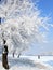 Winter in China, Wusong Island