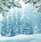 Winter Christmas background with fir tree branch