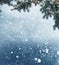 Winter Christmas background with fir tree branch and cones