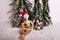 Winter Christmas holiday scene wooden jointed doll wearing Santa hat holding present