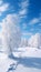 Winter Christmas idyllic landscape White trees in forest 1690444752677 7