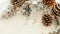 Winter Christmas and new year background with copy space - snow covered branches with pinecones and white backdrop