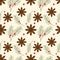 Winter Christmas New Year pattern star anise fir coniferous branch juniper red berry. Background, backdrop, packaging