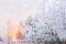 Winter Christmas stage background with copy space. Snow landscape with trees covered with snow under the open sky at sunset