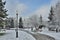 Winter city park landscape with snow-covered Ð¡hristmas trees, b