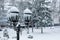 Winter in a city park, snow lies on a lantern road and trees