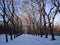 Winter cityscape. Avenue in the park. Yekaterinburg. December