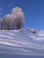 Winter in Ciucas Mountains