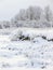 Winter cloudy landscape with frost on branches of the faraway trees