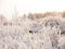 Winter cloudy landscape with frost on branches of the trees