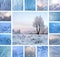 Winter collage with trees and ice patterns