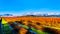 Winter colors of the blueberry fields in Pitt Polder near Maple Ridge in the Fraser Valley of British Columbia, Canada