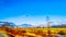 Winter colors of farmers` fields in Pitt Polder near Maple Ridge in the Fraser Valley of British Columbia, Canada