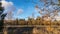 Winter Colors in the Field and Forest