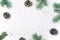 Winter Concept, Pine Cones, Braches and Silver Confetti on White Background
