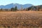 Winter Corn Stubble and Farm