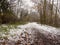 winter country muddy pathway through forest trail lake side