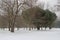 winter in the countryside around nantes - france