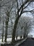 Winter countryside & trees covered in snow.