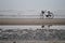 Winter day on a beach with endless horizon and a bike. Reflection on the sand. Sadness