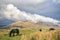 Winter day looking toward Blencathra in the Lake District with fell ponies grazing