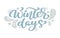 Winter days blue Christmas vintage calligraphy lettering vector text with winter scandinavian drawing decor. For art