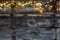 Winter decorative light on old rustic wooden timbers, flat lay