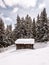 Winter dolomites cabin forest