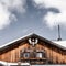 Winter dolomites cabin forest antlers hunting