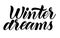 Winter dreams, isolated vector christmas lettering illustration.