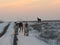 Winter drive through the wild mustangs