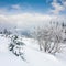 Winter dull country mountain landscape with fence and fir trees