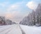 Winter dull landscape with ice-covered road and trees at side of the road