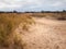 Winter dune landscape