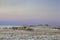 Winter dusk over prairie