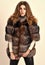 Winter elite luxury clothes. Female brown fur coat. Fur store model posing in soft fluffy warm coat. Pretty fashionista