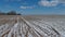 Winter end plowed fields with snow, aerial view